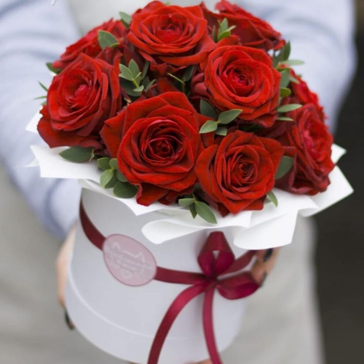 Лучший от 11 400 руб.