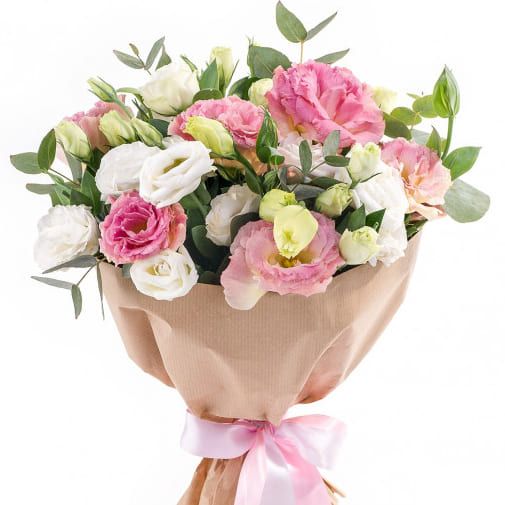 Элизиум от 7 200 руб.