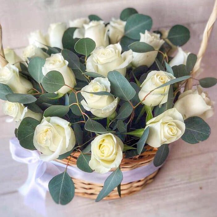 Радость дня от 12 000 руб.